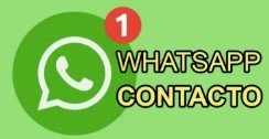 Contactanos por WhatsApp